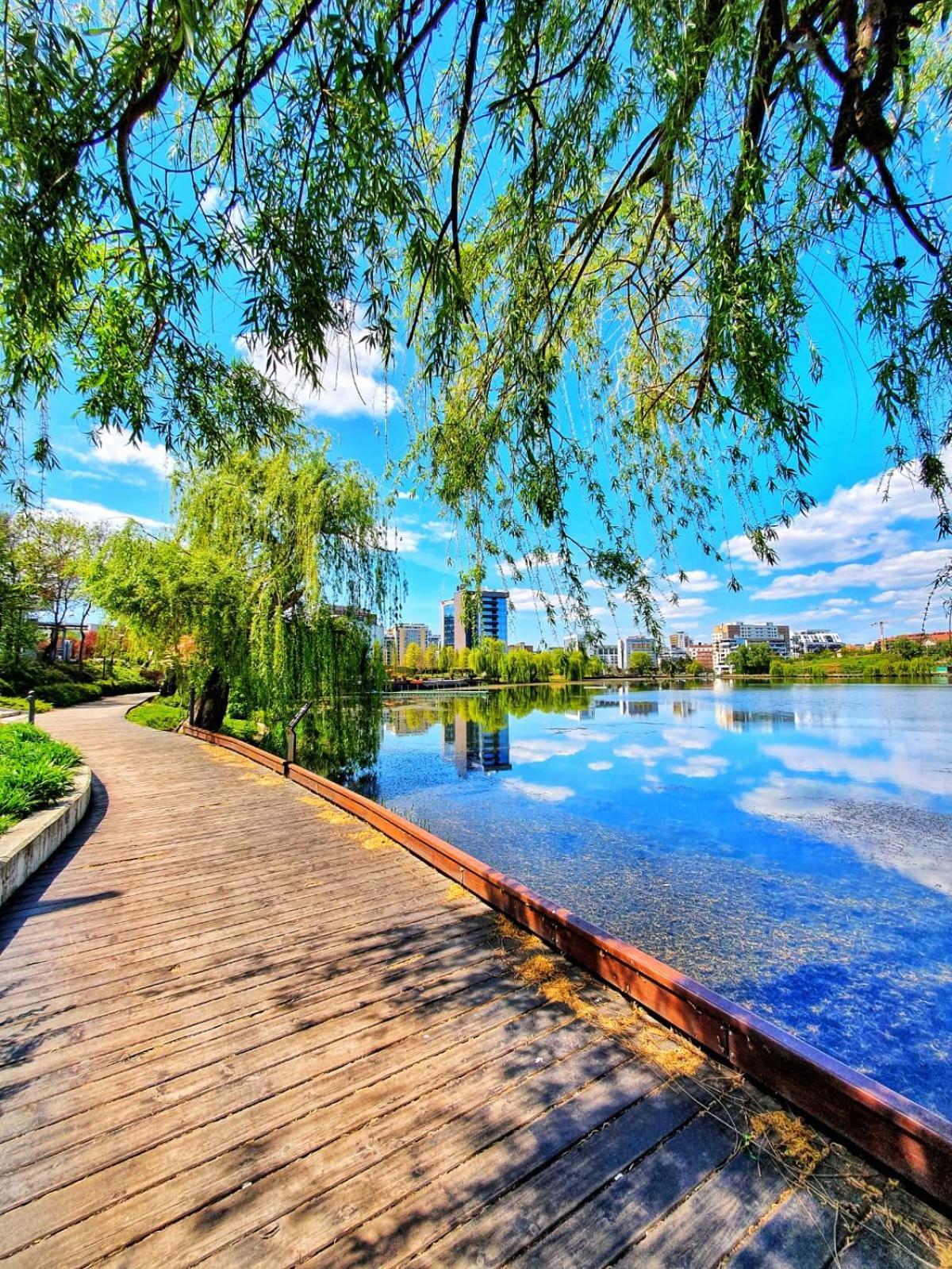Meb Apartments - Park Lake كلوج-نابوكا المظهر الخارجي الصورة